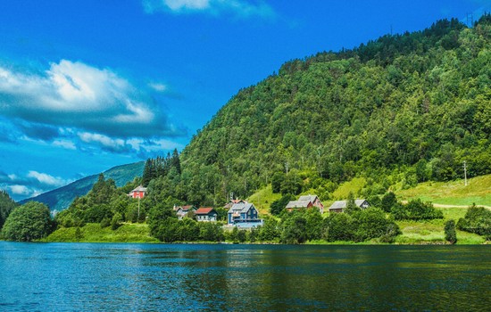 header image